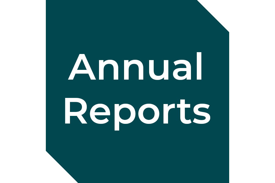 Annual Reports Icon