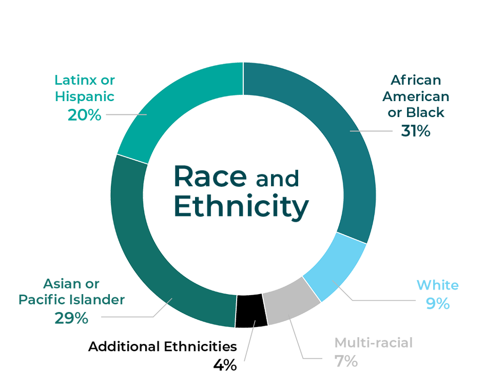 Pie Graph for Race - 16% Latinx or Hispanic, 29% African American or Black, 37% Asian or Pacific Islander, 17% White, and 1% Other