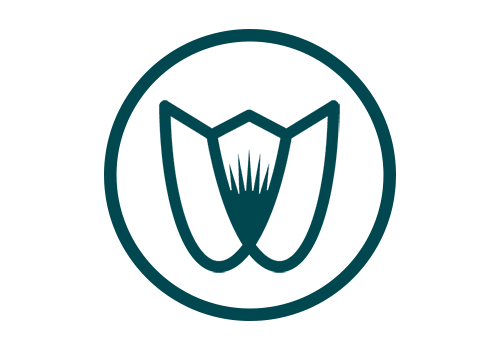 Wallin Logo Icon
